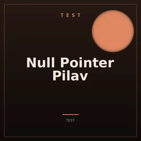 Null Pointer Pilav